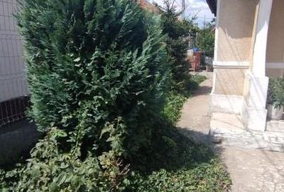 Casă locuibilă Km5 - 10