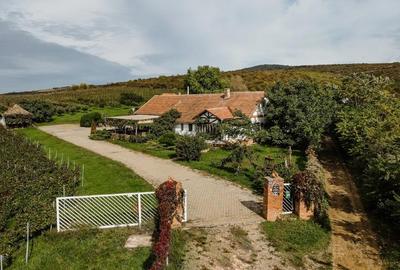 Proprietate istorică , crama +vie DOC + distilerie +loc. evenimente+ 20000 vin - 1