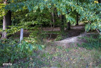 Spațiu comercial, în Vulcan - 2