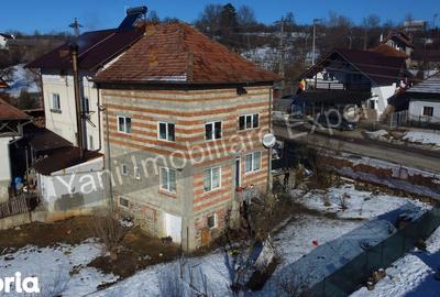 Casă cu 3 camere cu Teren 3877 Mp în Valea Danului - 2