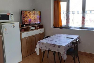 Casă cu 2 camere cu Teren 1200 Mp în Sintea Mare - 2