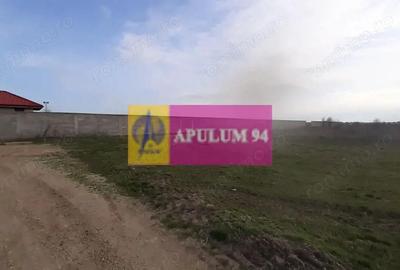 Teren de 369 mp, în 1 Decembrie - 7