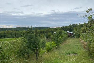 RECO Casa cu teren in Hidiselul de Sus - 6