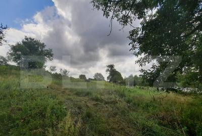 Teren 5000mp, langa padure, Dobrovat - 1