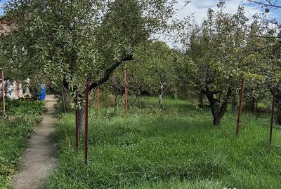 Casă cu 3 camere în Mânăstirea - 2