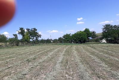 Teren extravilan de 6314 mp, în Belciugatele - 8
