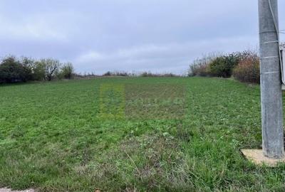 Teren Comana- strada Funieru. - 3