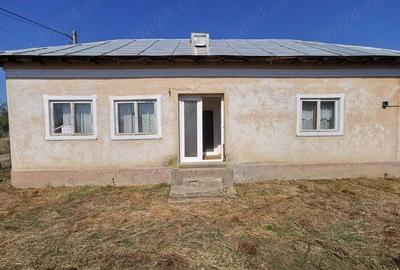 Vand teren cu casa intavilan Curtisoara jud Olt - 10