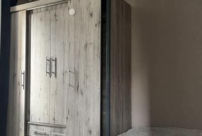 Apartament cu 3 camere în Cetate - 2