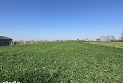 Teren de 3900 mp, în Gepiu