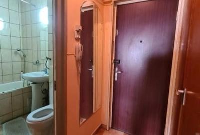 Garsonieră semidecomandată, mobilată în Timișoara - 13