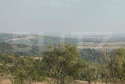 Casa cu 2 camere, suprafata teren 1700mp + super priveliste , Seciu - 9