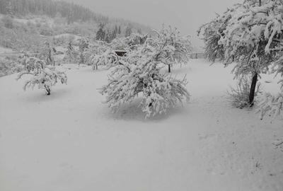 Teren de 6250 mp, în Izvoru Alb - 8