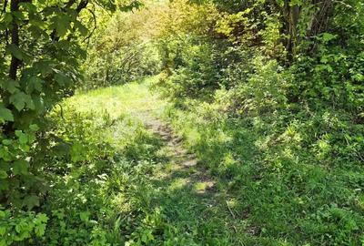 Teren de 1577 mp, în Schei - 11