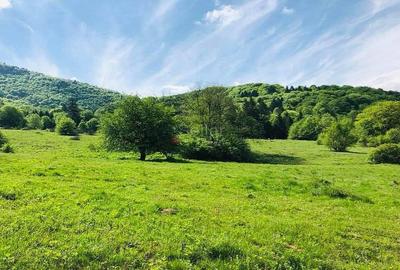 Teren Construcții extravilan de 15600 mp, în Exterior Est - 2