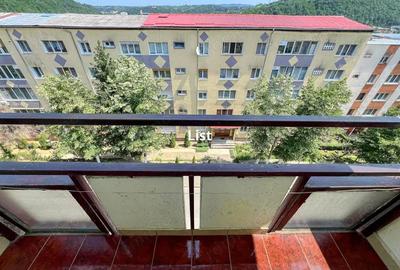 Apartament cu 3 camere decomandat, mobilat în Moroasa 1 - 10