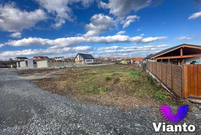 Teren Construcții intravilan de 2000 mp, în Daia - 7