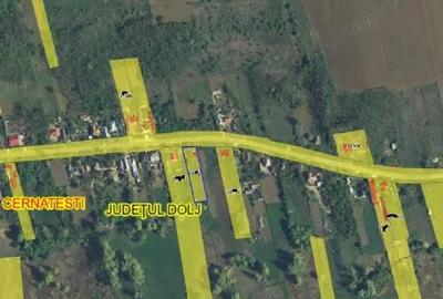 Casă cu 2 camere cu Teren 1240 Mp în Cernat - 3