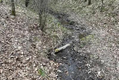 Teren de 3500 mp, în Central - 2