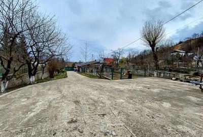 Vila D+P+1+M Breaza - 2