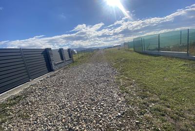 Teren Intravilan 1000 mp Bicfalau - 3