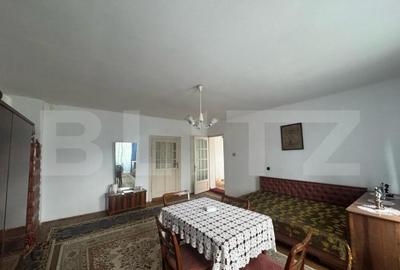 Casa de vanzare, cu 3 camere, 191 mp, la 3 km de Ha?eg - 8