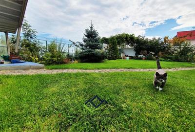 Ovidiu |  VILA P+1 |  PRIMA LINIE LA LAC - 3