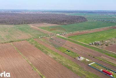 Teren de 500 mp, în Săbăreni - 6