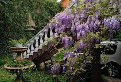 Casă cu 2 camere în Titulescu - 3