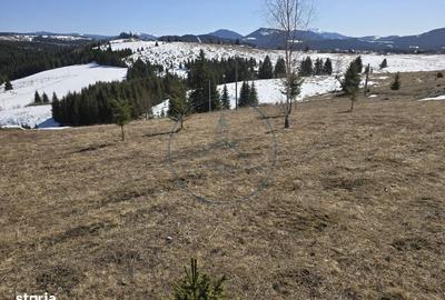 Spațiu comercial, în Piatra - 4