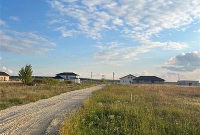 RECO Teren intravilan cu  PUZ aprobat Cihei-fundatia Nesu RECO Teren intravilan cu  PUZ aprobat Cihei-fundatia Nesu - 6