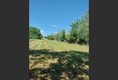 Teren 1942 mp, Baicoi, EUR32.500 - 2