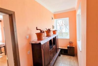 Casă cu 3 camere cu Teren 2230 Mp în Săbolciu - 3