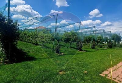 TEREN Investitie livada cu 116 pomi fructiferi in Comuna Livada - 3