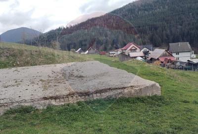 Teren Construcții intravilan de 500 mp, în Cârlibaba - 6