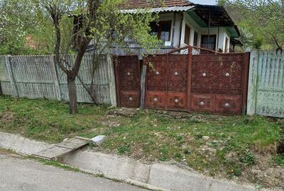 Casă cu 3 camere în Valea - 1