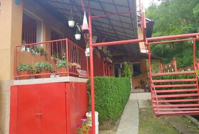 Casă cu 5 camere cu Teren 643 Mp în Poieni - 10