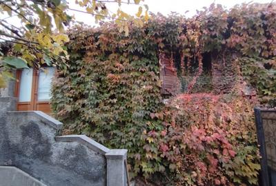 Proprietate in zona Parcului N Romanescu, casa batraneasca s - 9