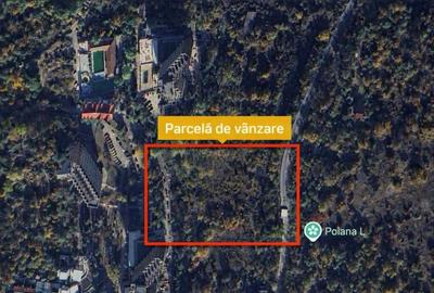 Spațiu comercial, în Pecinișca - 1