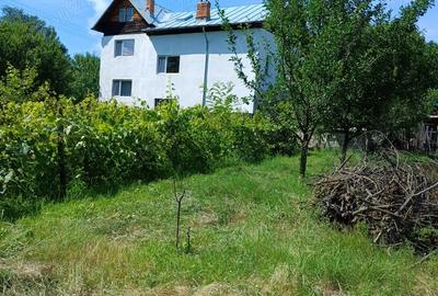 Stefanesti Jud Valcea Casa de Vanzare Curte 3000mp - 4