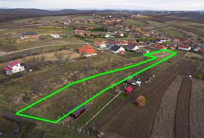 RECO . Teren intravilan Saldabagiu de munte . - 6