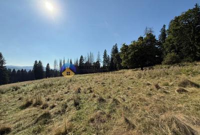 Teren de vanzare 5000 mp Piatra Neam? - 1