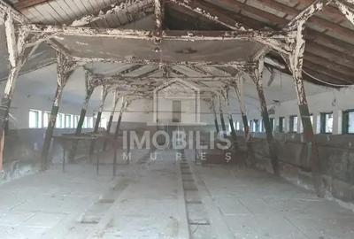 Teren de 13134 mp, în Budiului - 2
