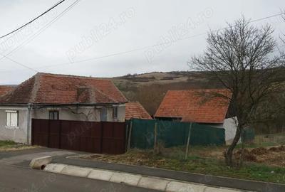 Vand casa la ?ara la 35 km de Sibiu - 1