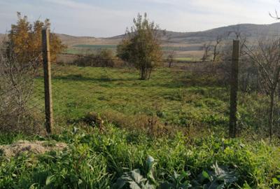 Nicolae Balcescu - Tulcea, teren cu deschidere 27 ml la drum - 3