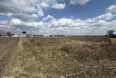 Spațiu comercial, în Costișa - 7