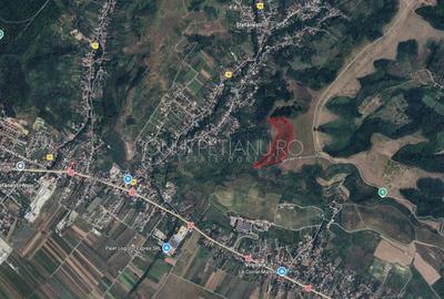 Teren agricol extravilan de 56362 mp, în Ștefănești - 2