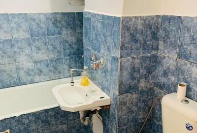 Apartament cu o camera, Sangeorgiu de Mures - 6