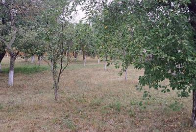 Casă cu 3 camere în Căciulești - 3