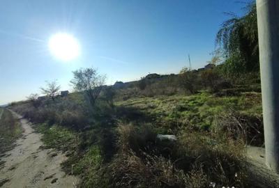 Teren de 1000 mp, în Malu Mare - 2